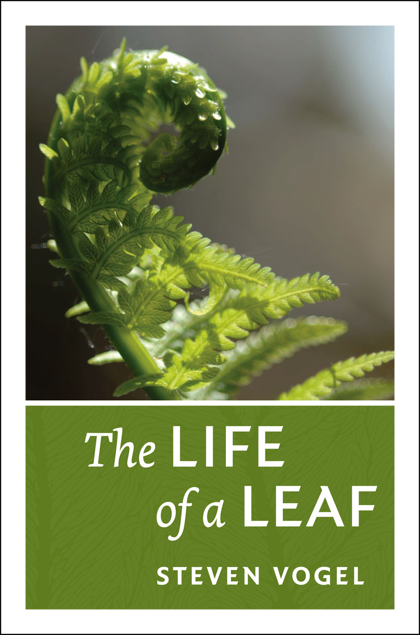 The Life of a Leaf Steven Vogel