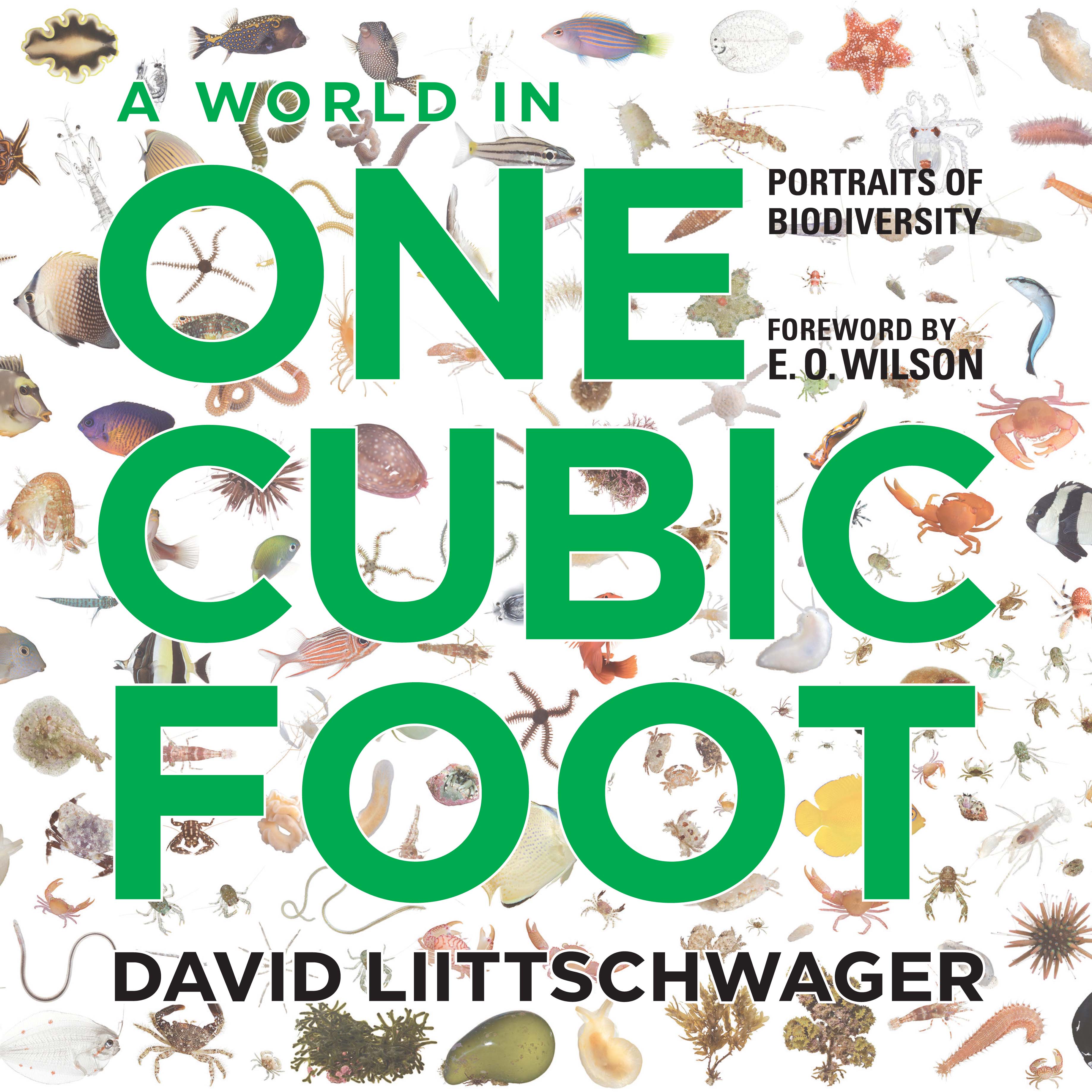 A World in One Cubic Foot: Portraits of Biodiversity W. S. Di Piero, Alan Huffman, August Kleinzahler and Elizabeth Kolbert