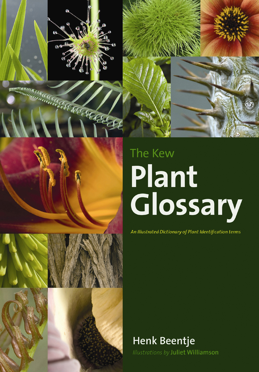 The Kew Plant Glossary: An Illustrated Dictionary of Plant Terms, Beentje