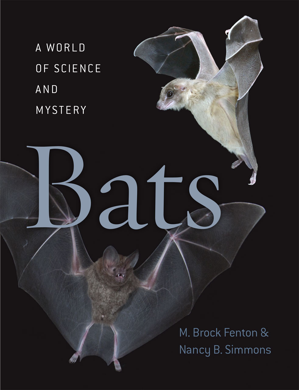 Bats A World Of Science And Mystery Fenton Simmons