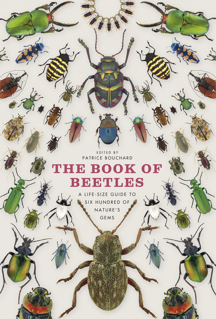 The Book Of Beetles A Life Size Guide To Six Hundred Of