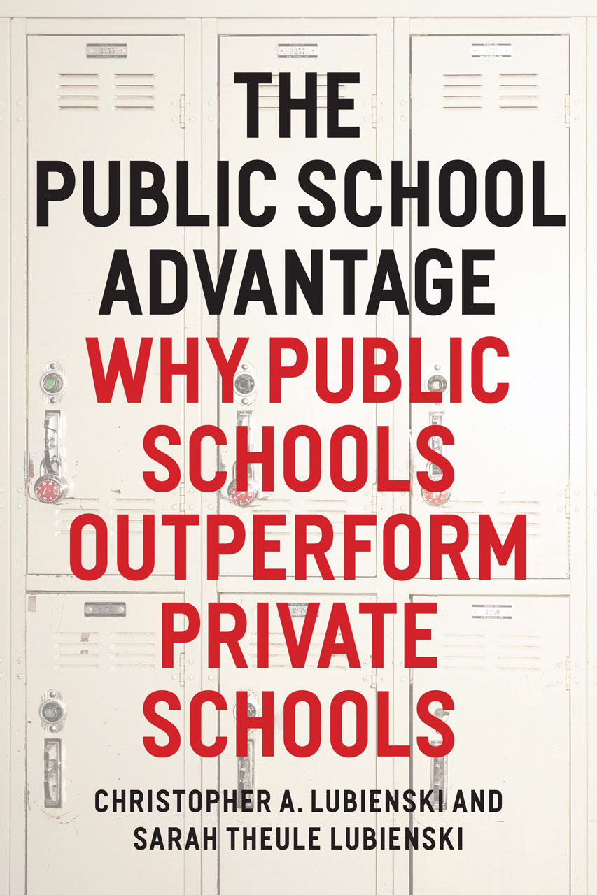 merits and demerits of privatisation in education