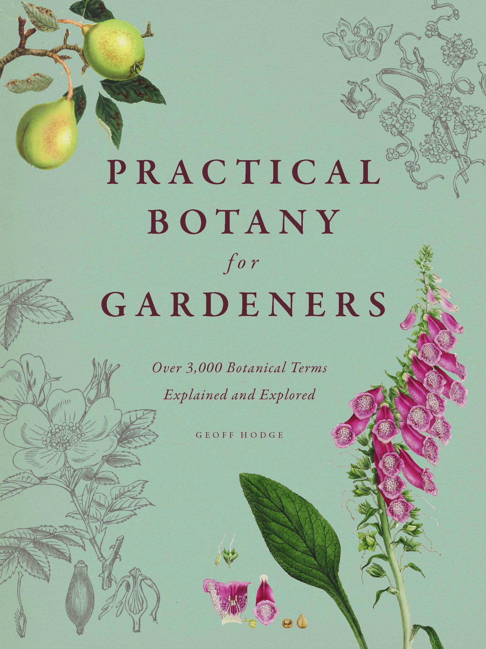 Practical Botany for Gardeners: Over 3,000 Botanical Terms 