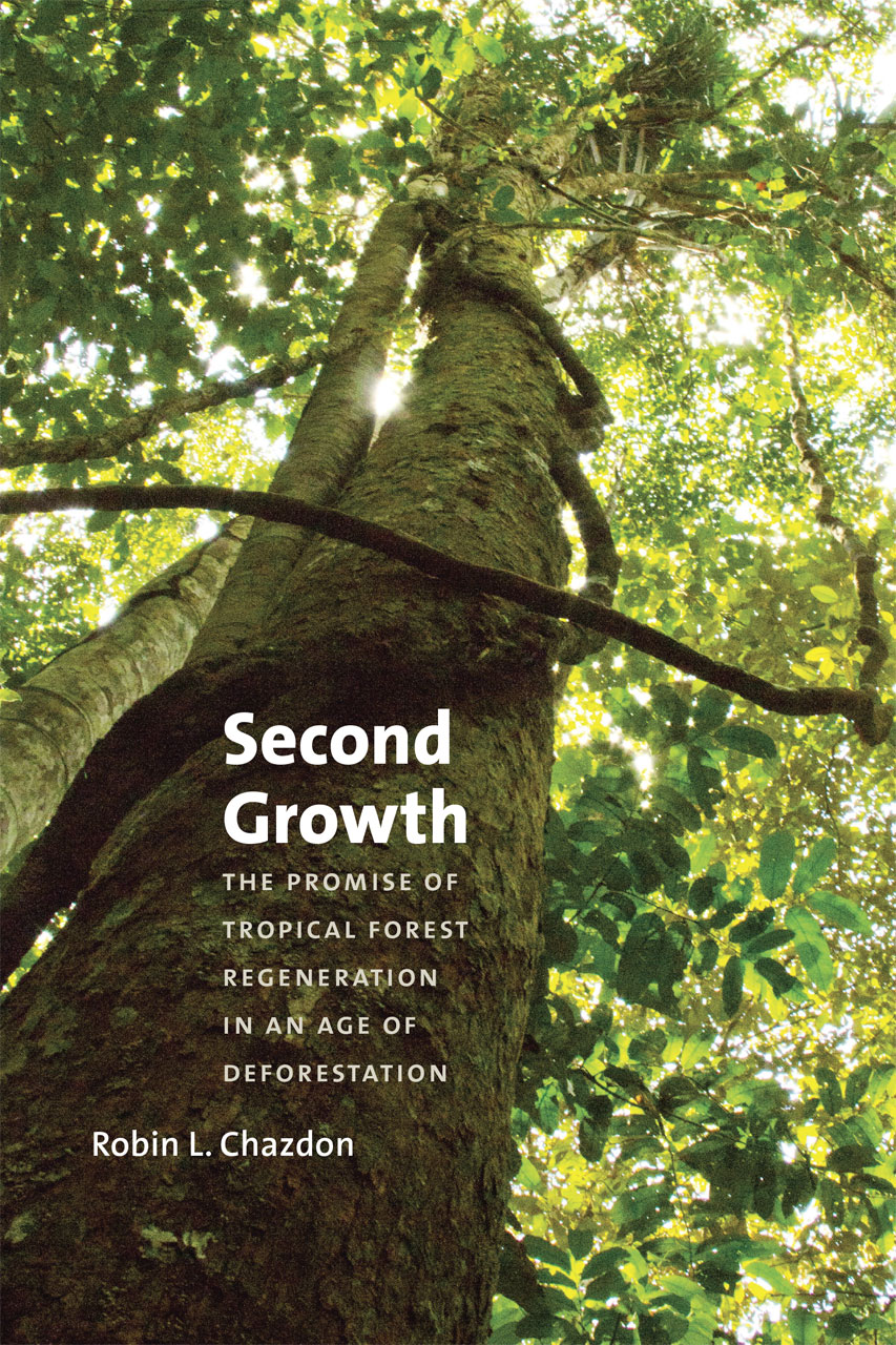 Second Growth The Promise Of Tropical Forest Regeneration In An Age Of Deforestation Chazdon