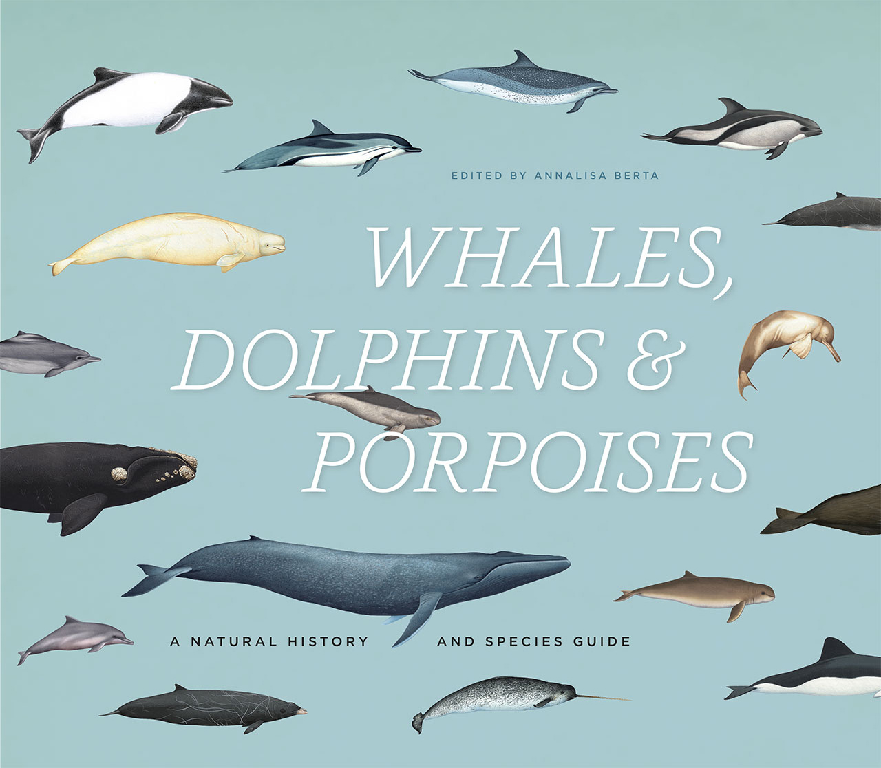 Whales, Dolphins, and Porpoises: A Natural History and Species Guide, Berta