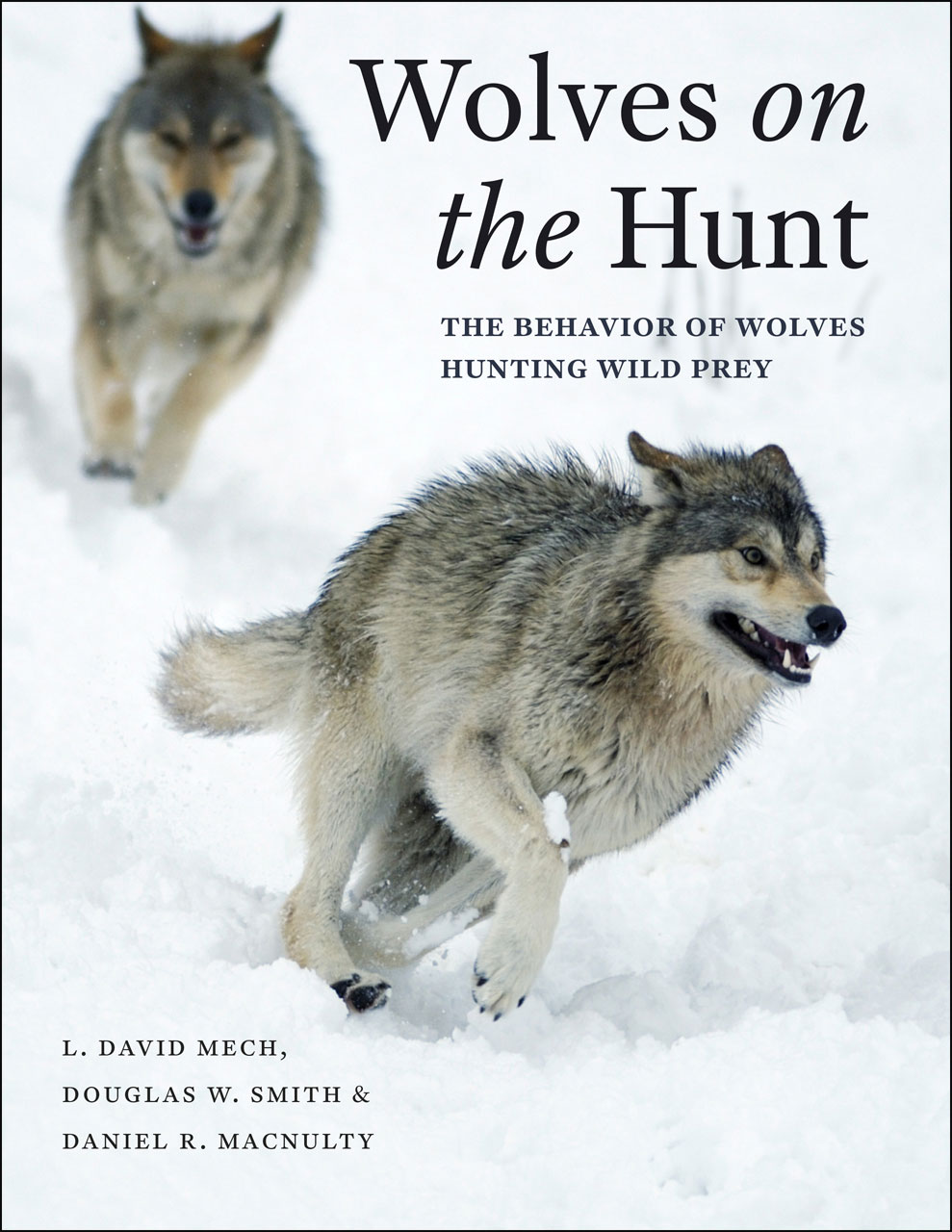 Wolves on the Hunt: The Behavior of Wolves Hunting Wild Prey, Mech, Smith,  MacNulty