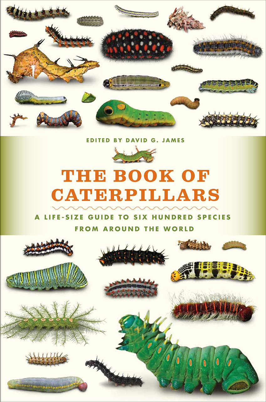 The Book of Caterpillars: A Life-Size Guide to Six Hundred Species from  around the World, James