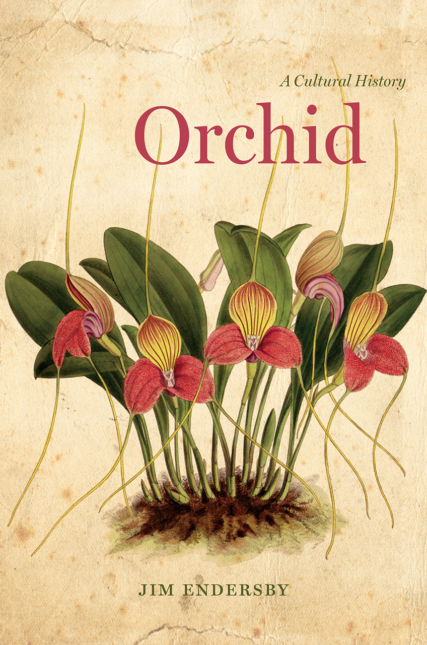 Orchid: A Cultural History, Endersby