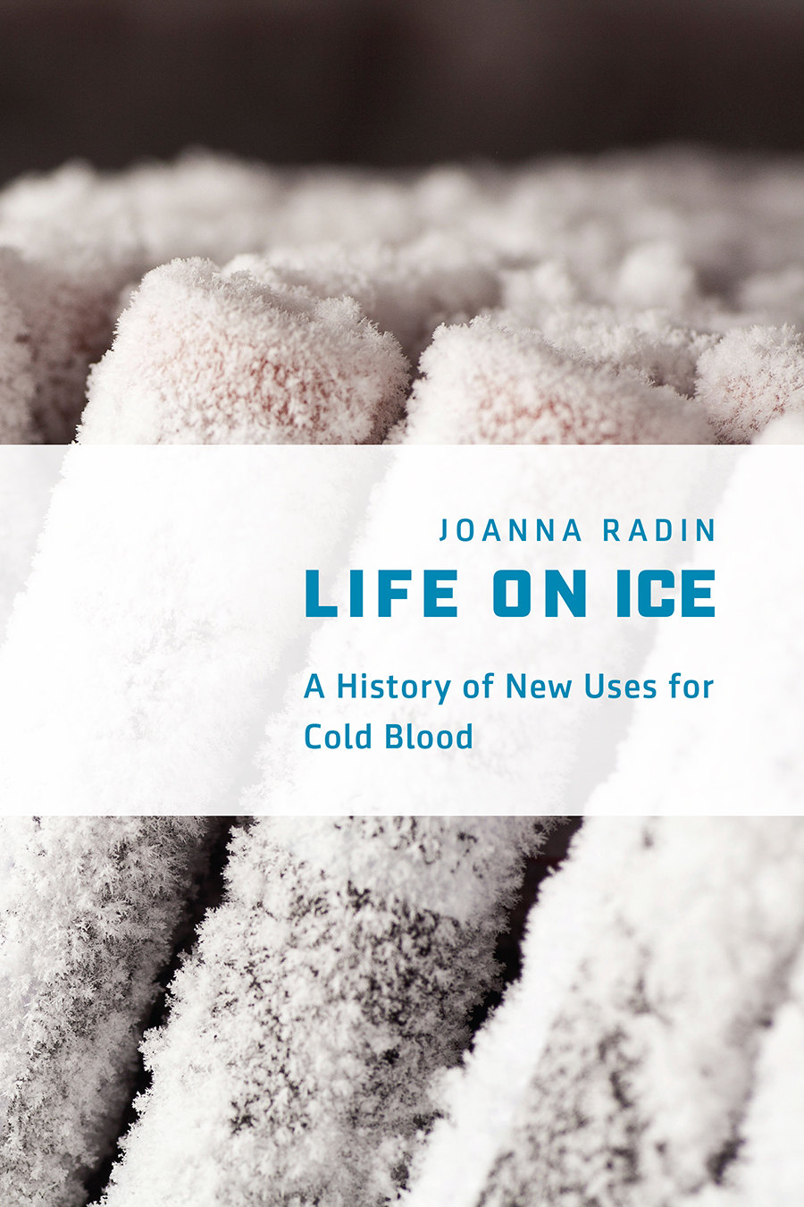 Ice Life. Joana's Life. Ice story. История айс