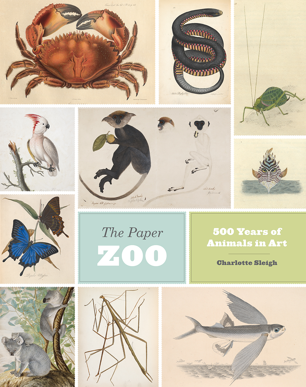 The Paper Zoo: 500 Years of Animals in Art, Sleigh