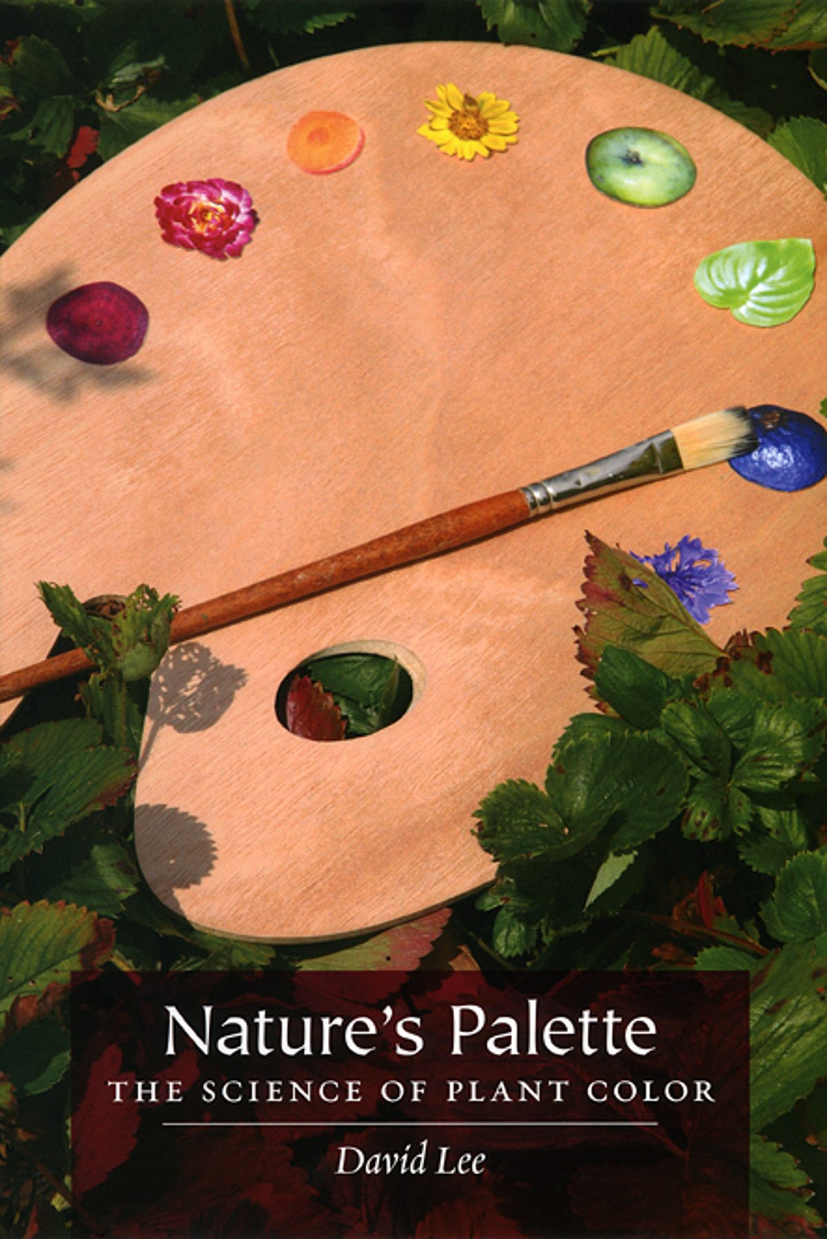Nature’s Palette: The Science of Plant Color, Lee