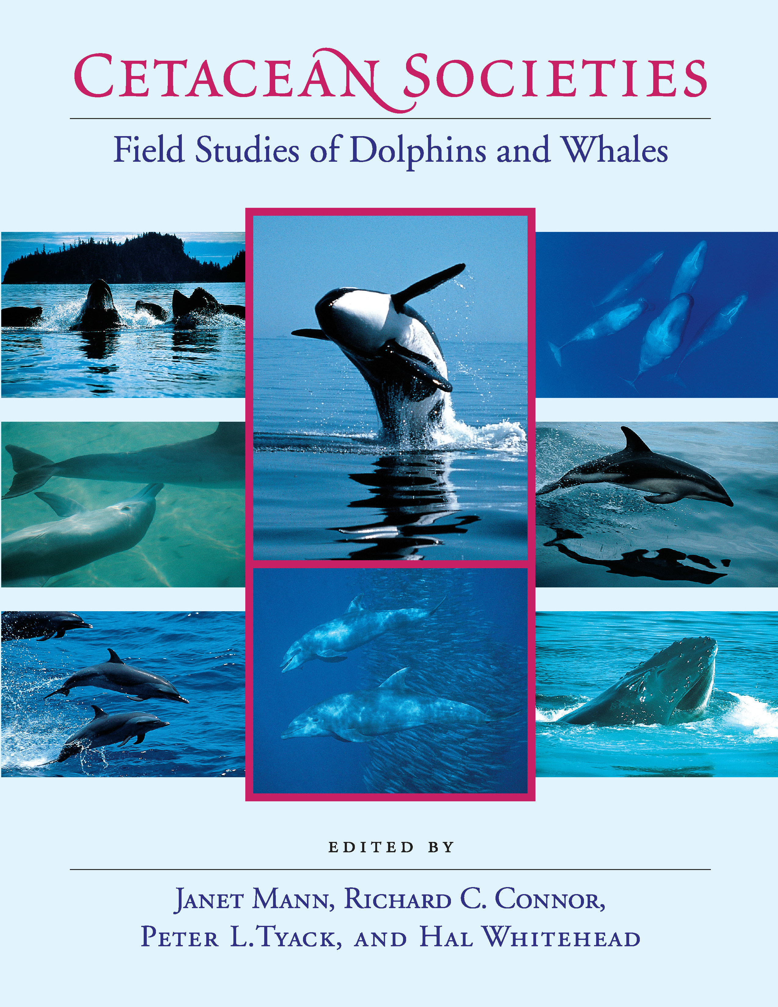 thumbnail image 2 of National Audubon Society Field Guide To Fishes, Whales, And Dolphins – Hardcover, 1983 2 of 4