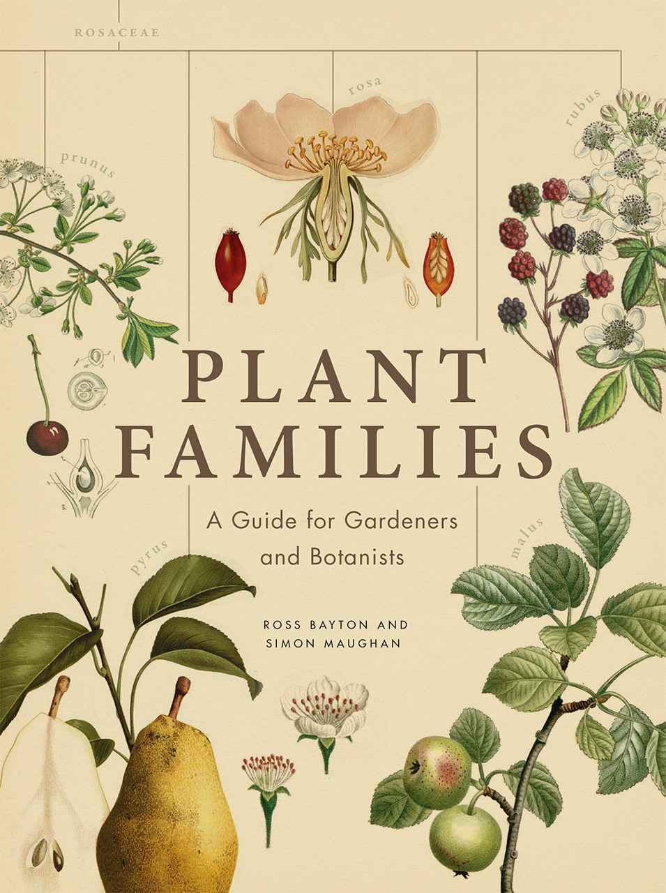 plant-families-a-guide-for-gardeners-and-botanists-bayton-maughan