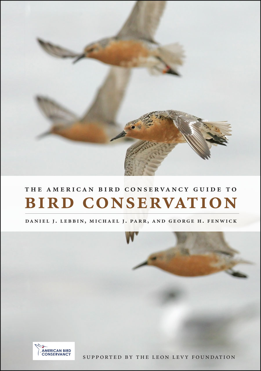 conservation of birds essay
