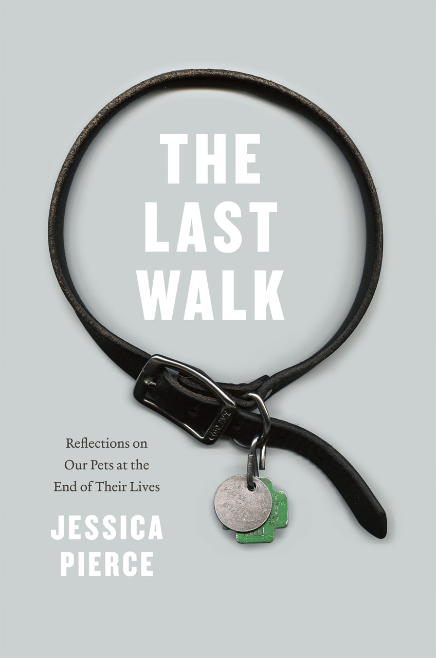 Our reflection. Last walk. Jessica Pearce.