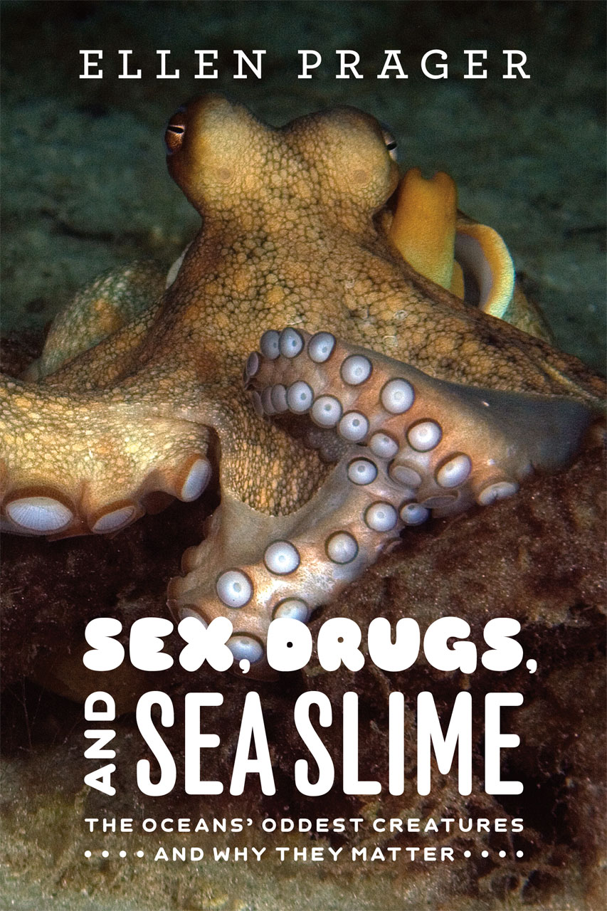 Sex, Drugs, and Sea Slime: The Oceans’ Oddest Creatures and Why They ...