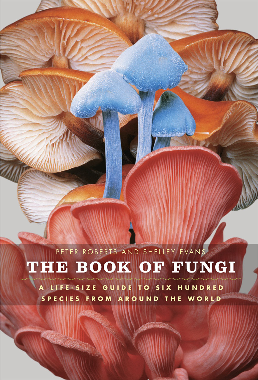 The Book Of Fungi A Life Size Guide To Six Hundred