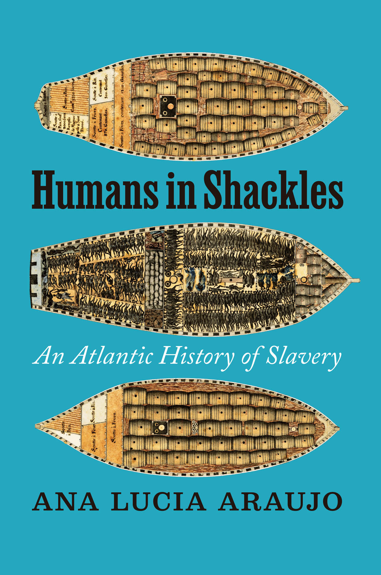 Humans in Shackles: An Atlantic History of Slavery, Araujo