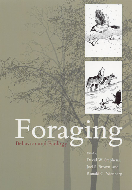 Foraging Behavior And Ecology Stephens Brown Ydenberg