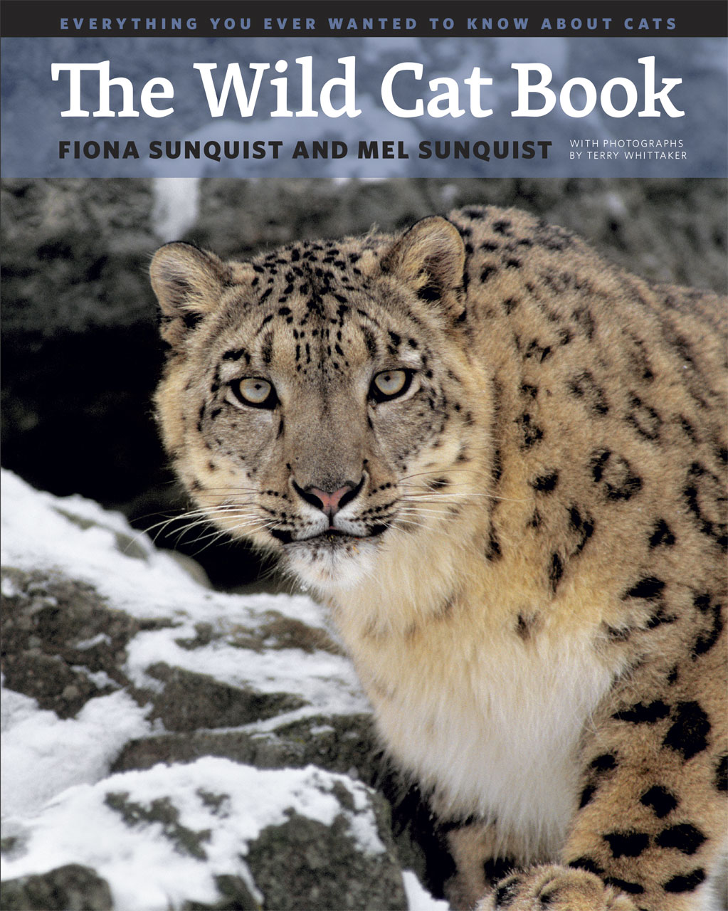 The Wild Cat Book Everything You Ever Wanted To Know About Cats