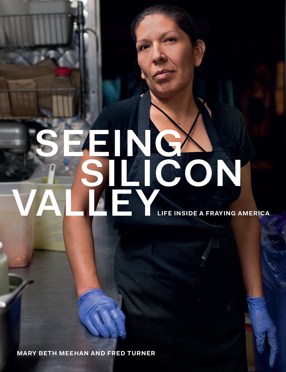Seeing Silicon Valley Life Inside A Fraying America Meehan Turner