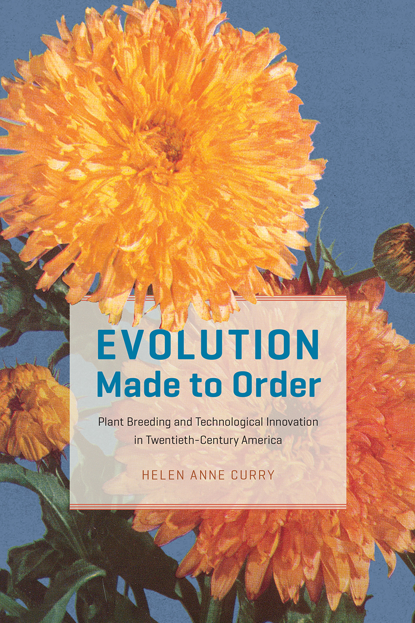 Evolution Made to Order: Plant Breeding and Technological