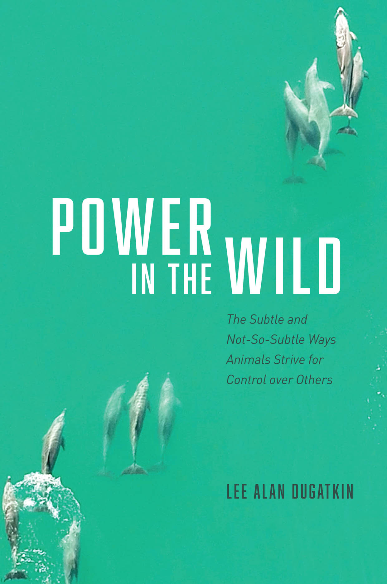 Wild At Heart/Captivating - Marketing Pages