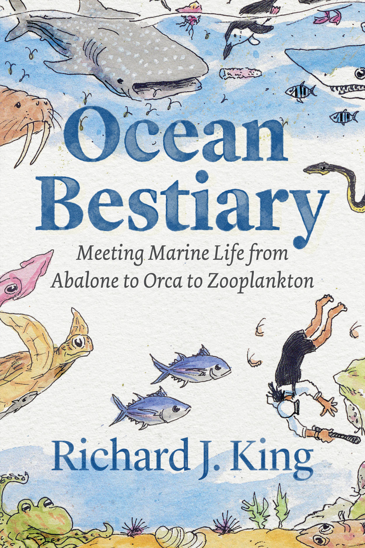 Ocean Bestiary: Meeting Marine Life from Abalone to Orca to Zooplankton,  King