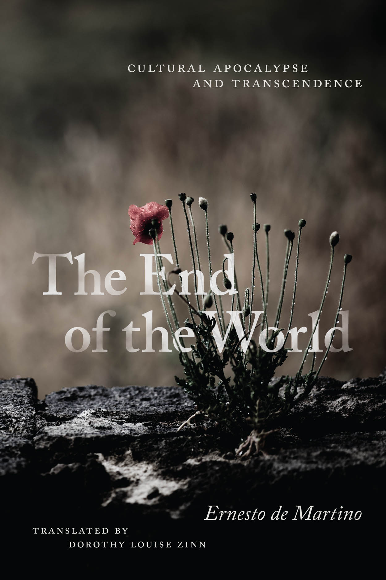 The End of the World: Cultural Apocalypse and Transcendence, de Martino,  Zinn