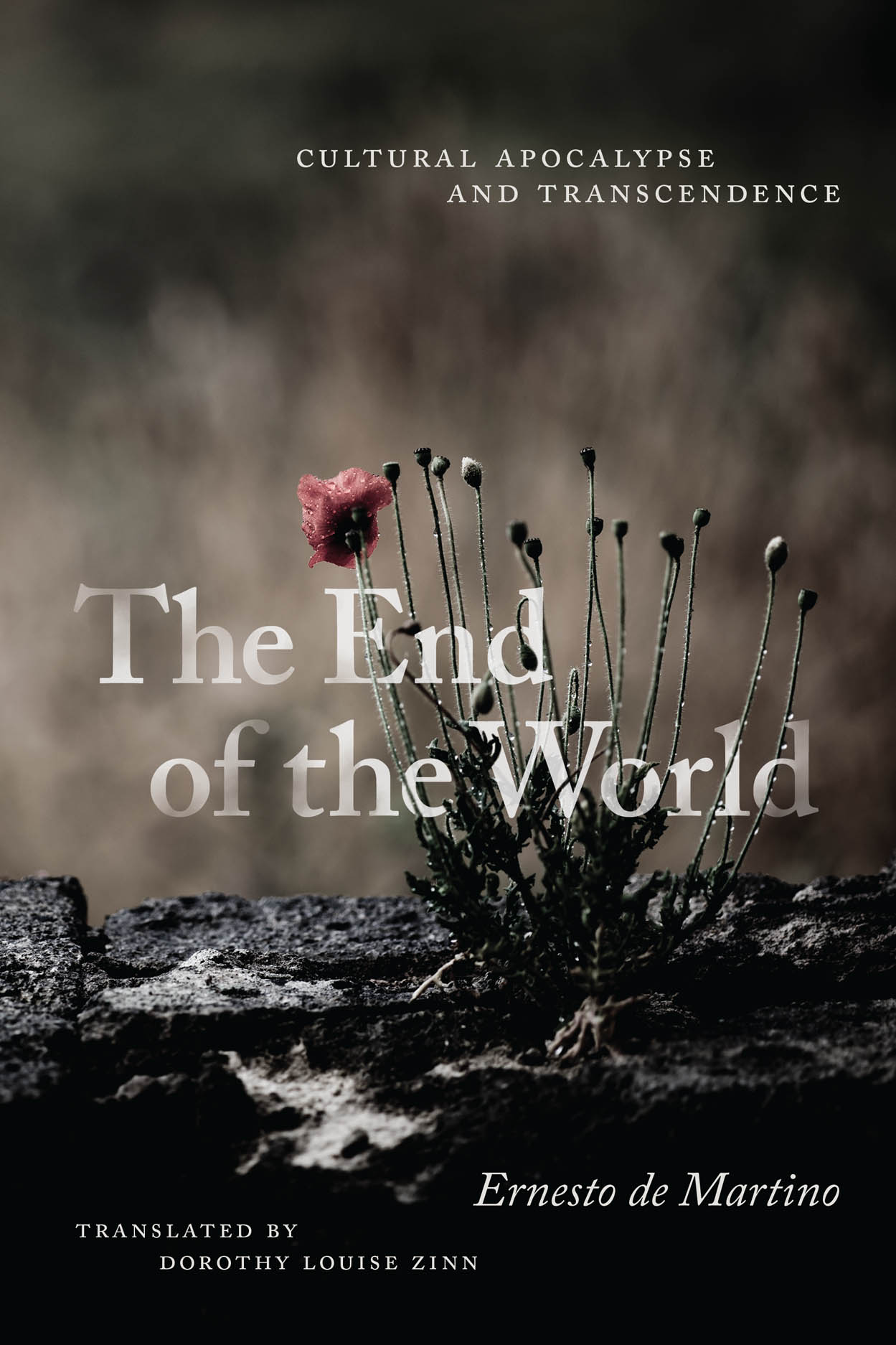 The End of the World: Cultural Apocalypse and Transcendence, de