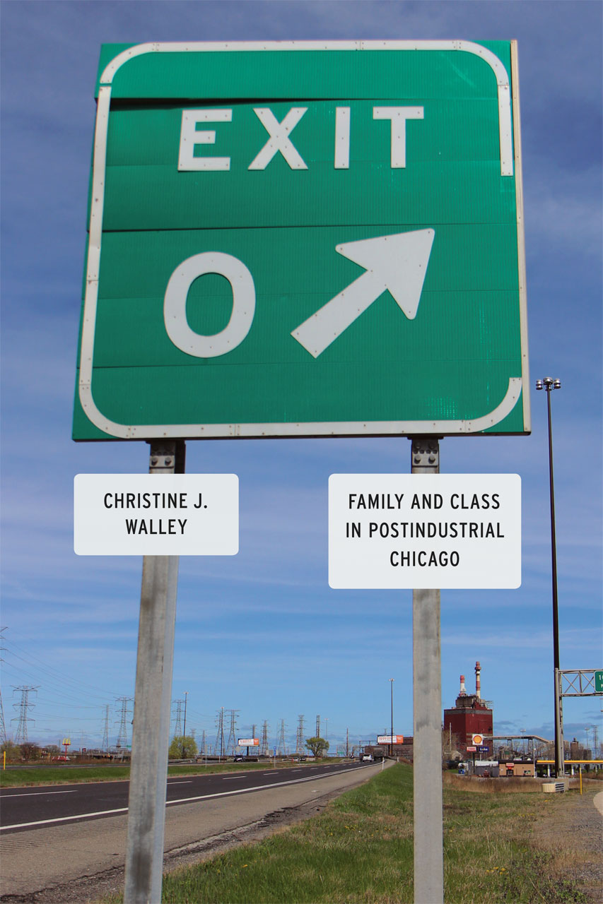 Exit Zero: Family and Class in Postindustrial Chicago, Walley