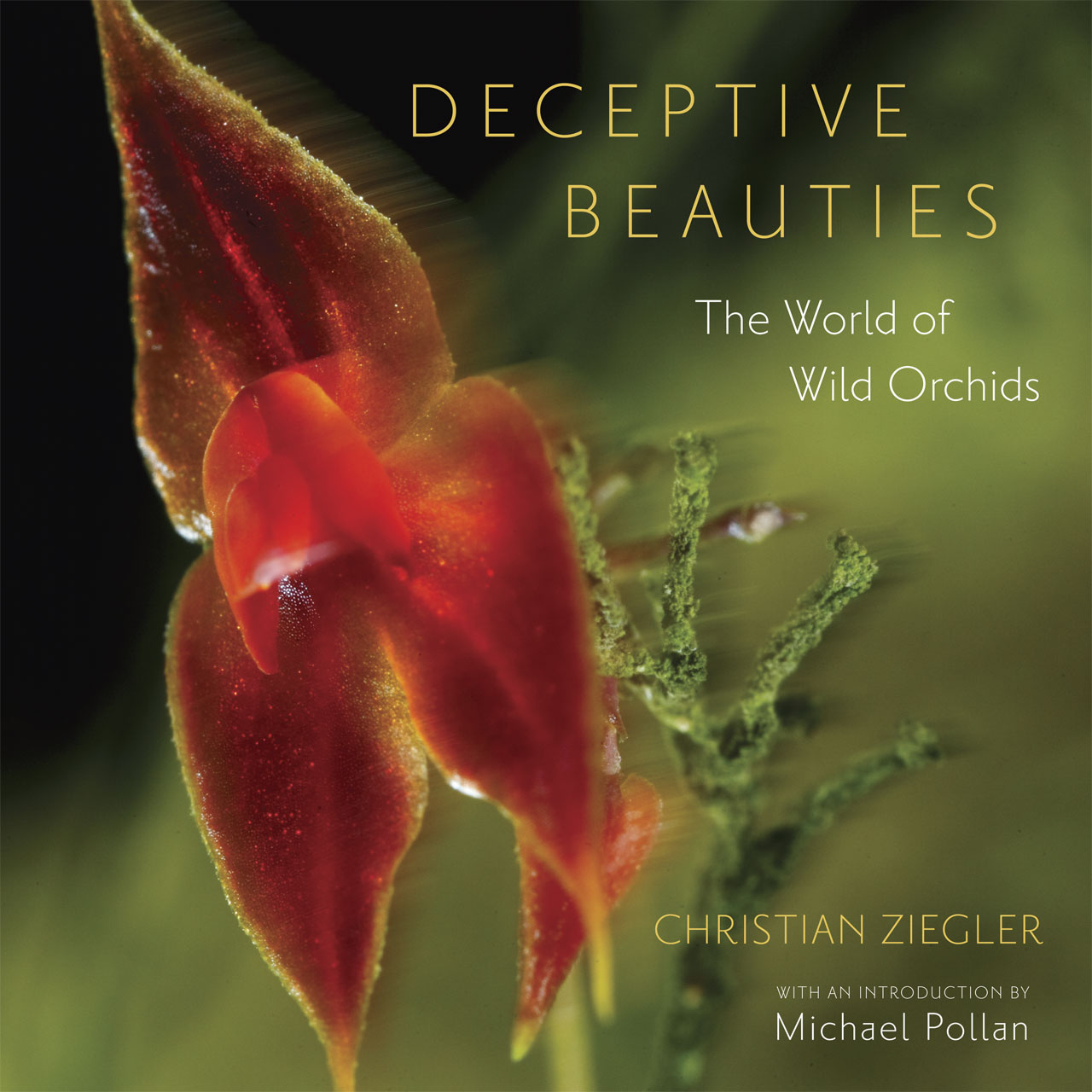 Deceptive Beauties: The World of Wild Orchids, Ziegler 