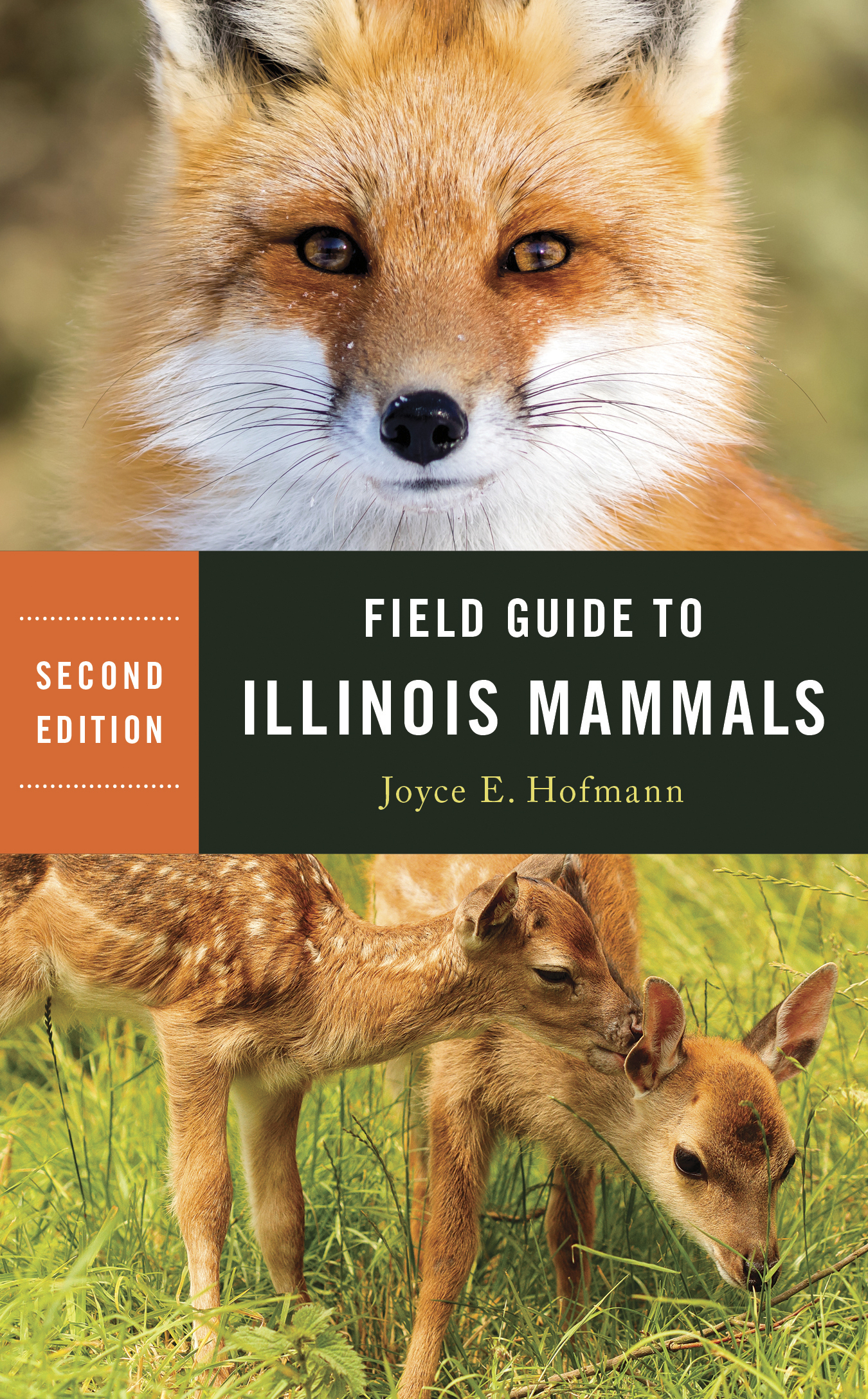 Field Guide to Illinois Mammals