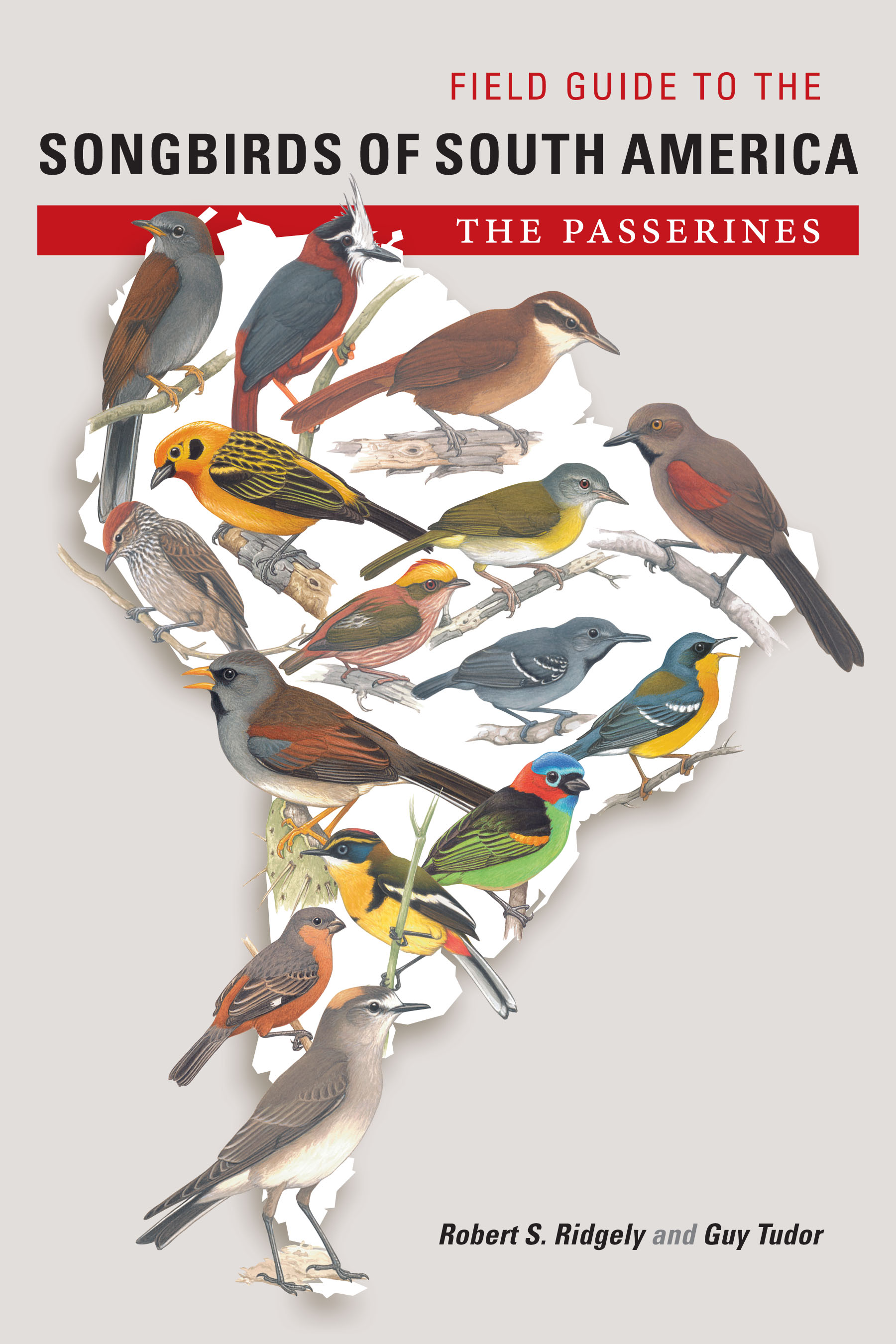 Field Guide to the Songbirds of South America