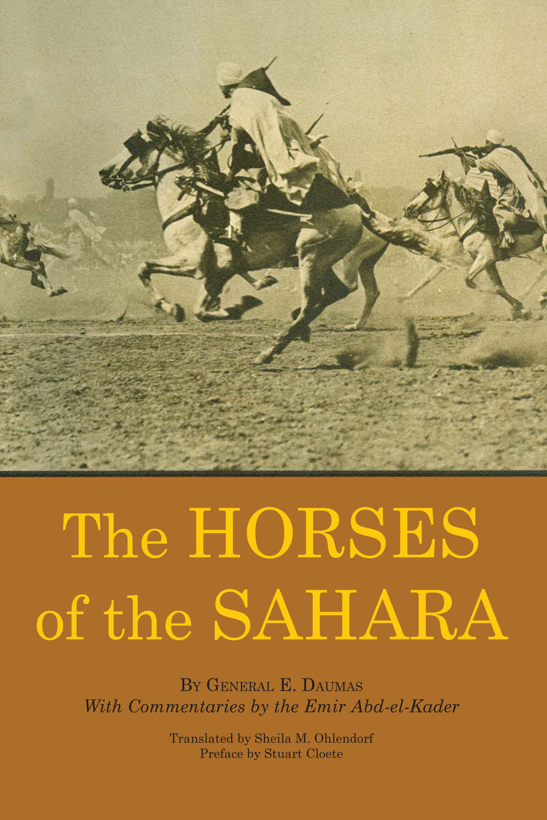 Horses of the Sahara