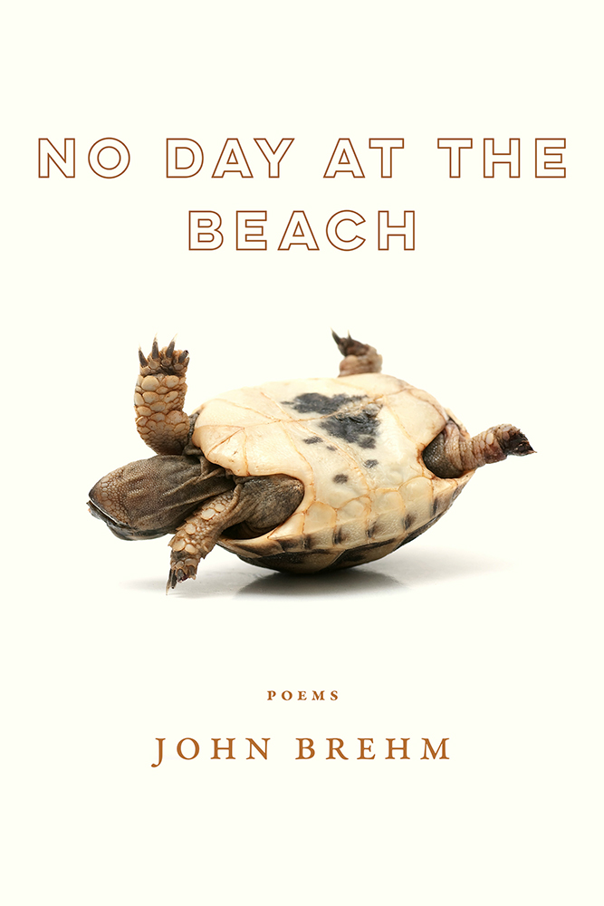 No Day at the Beach