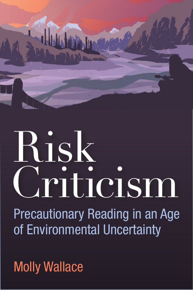 Risk Criticism