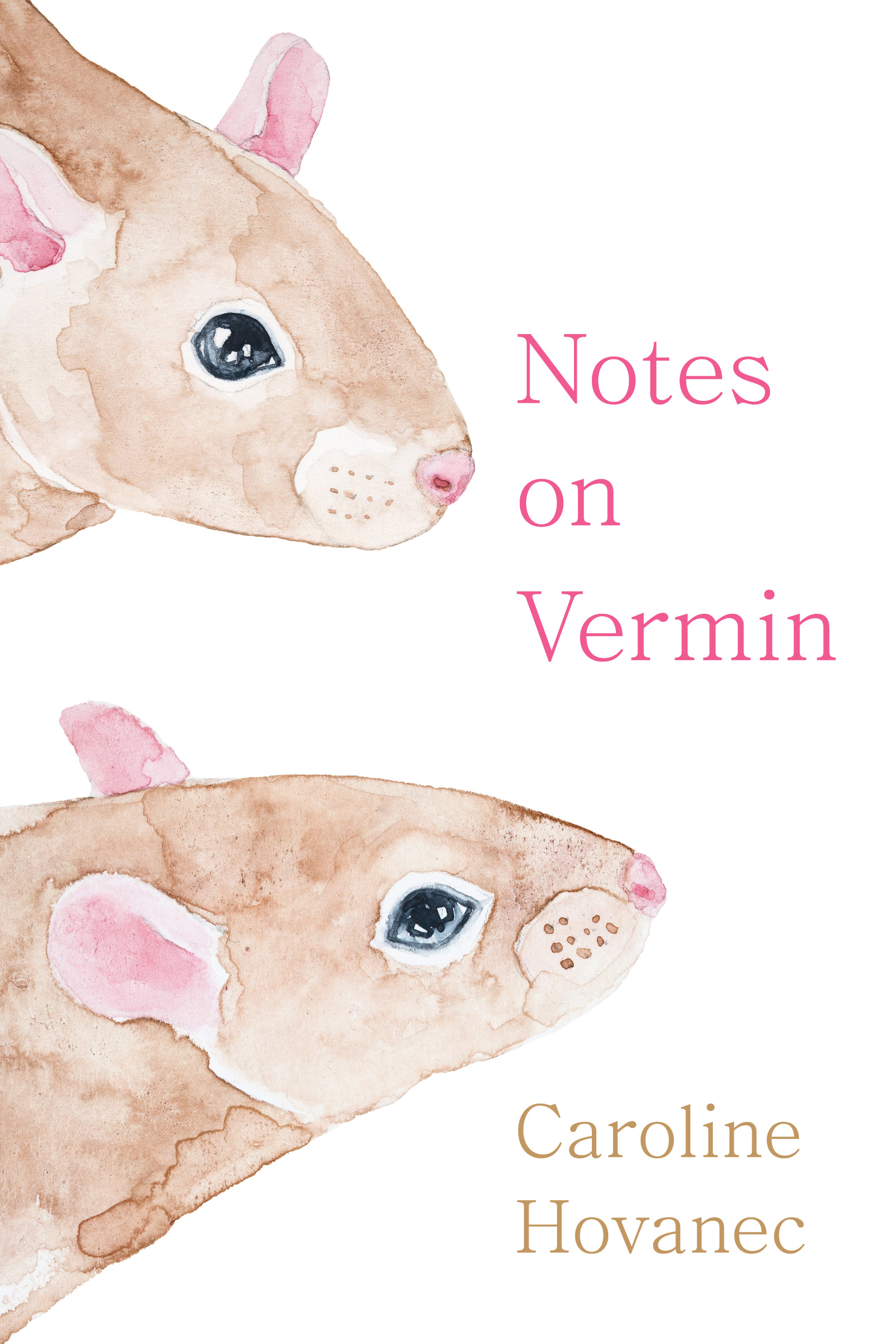 Notes on Vermin