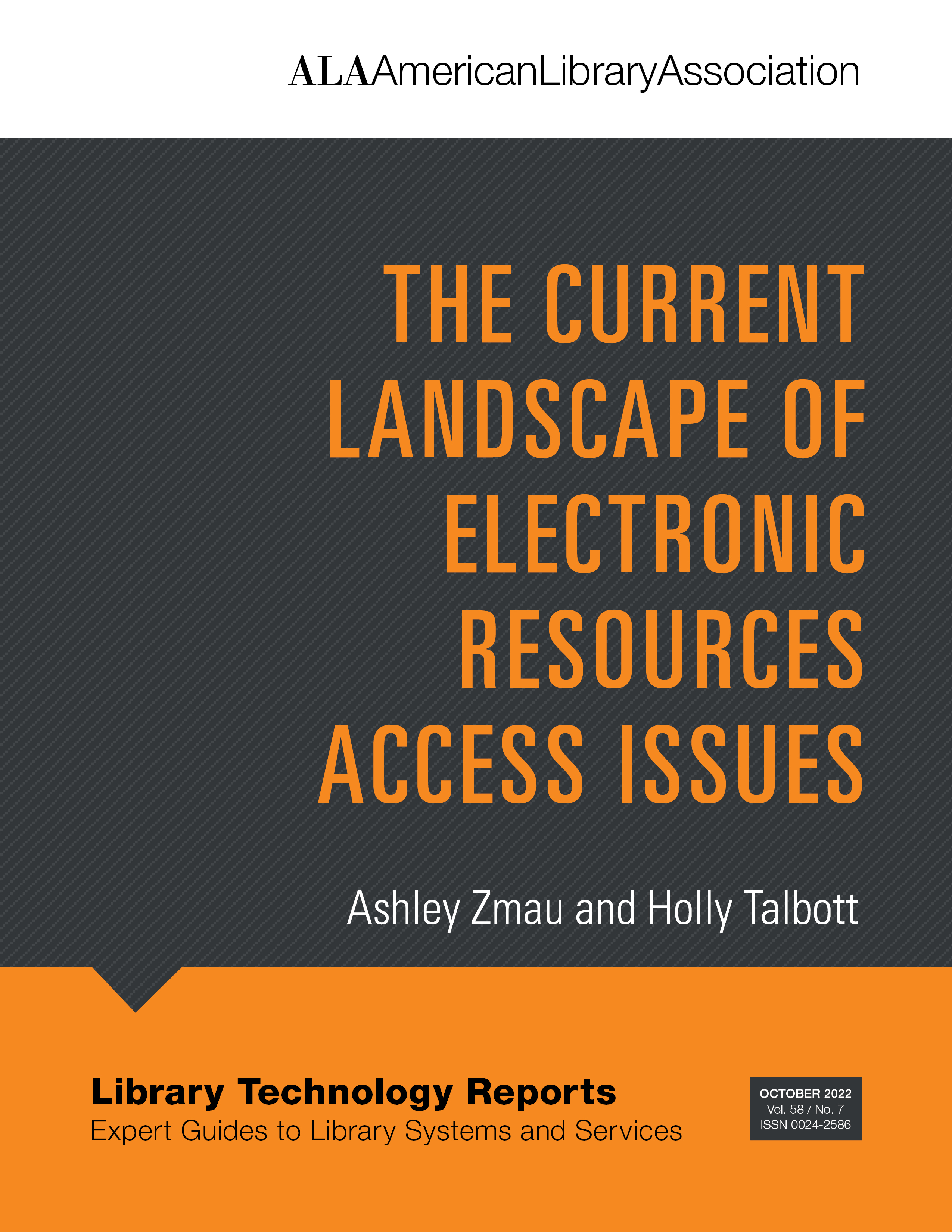 Current Landscape of Electronic Resources Access Issues