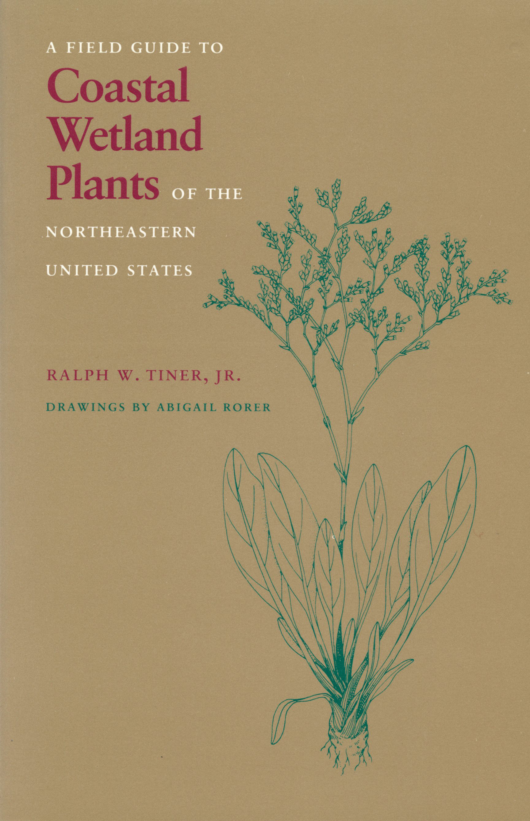 Field Guide to Coastal Wetland Plants of the Northeastern