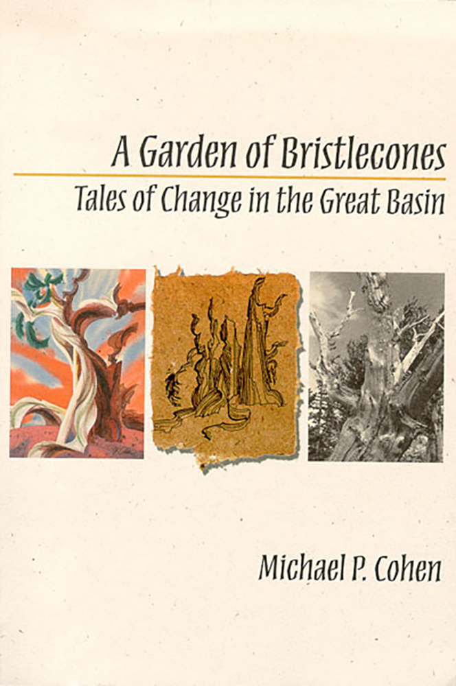 Garden Of Bristlecones