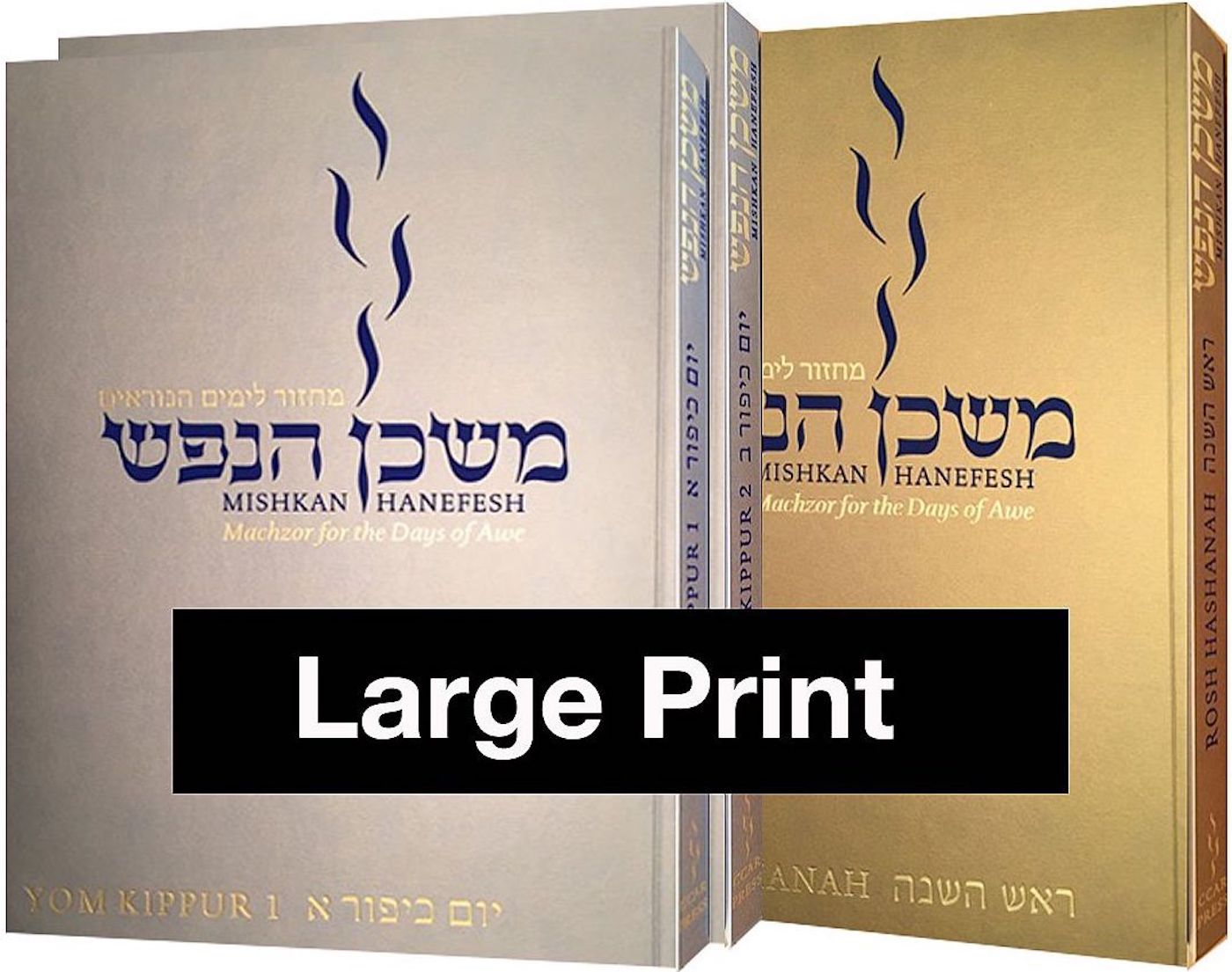 Mishkan HaNefesh, Large Print Edition (3 Vols.)