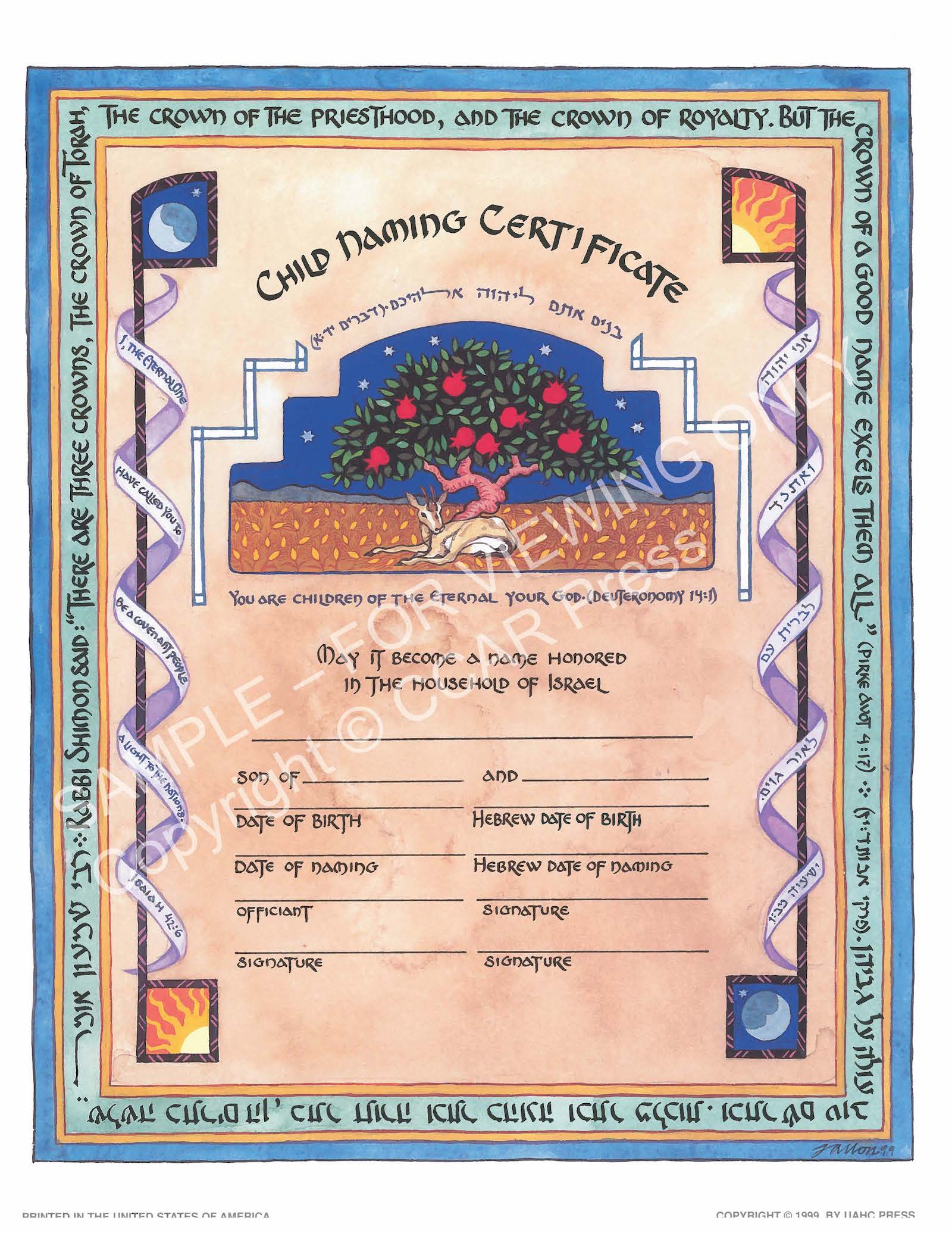 Child Naming, Boy: Single, Illuminated - Certificate