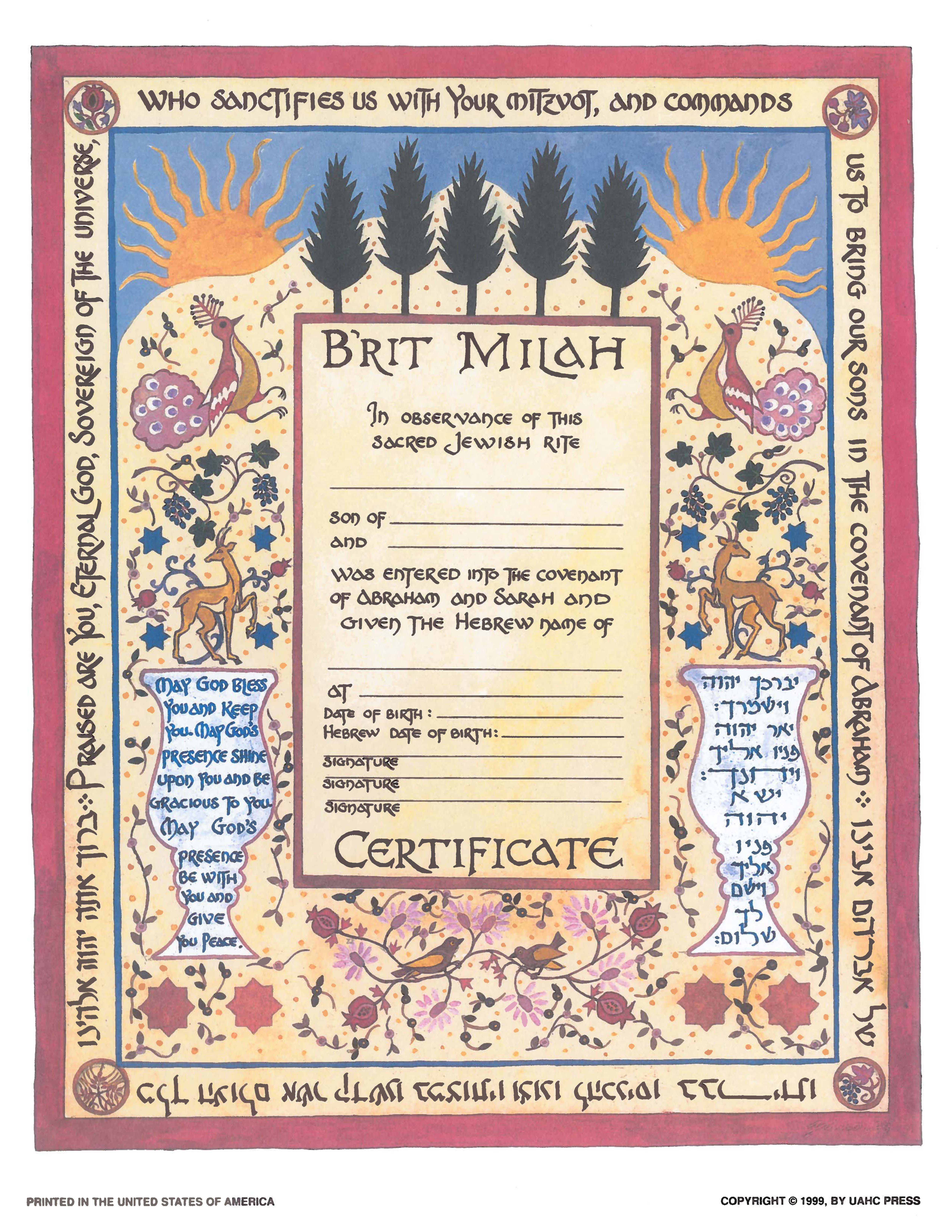 B'rit Milah, Single, Illuminated - Certificate