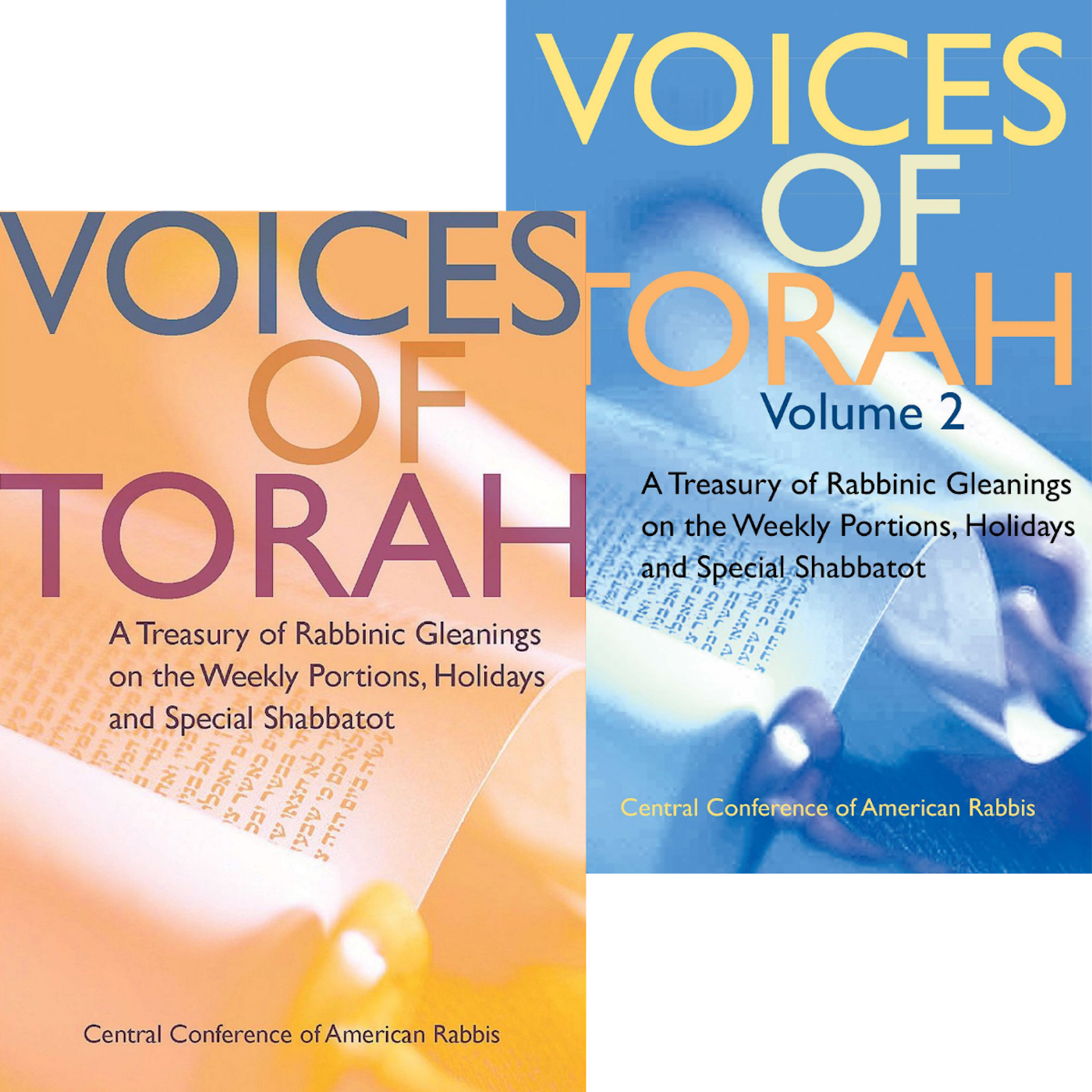 Voices of Torah Bundle