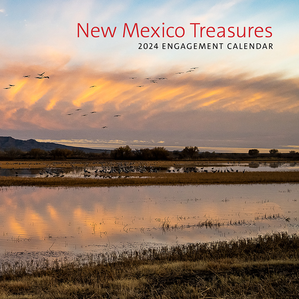 New Mexico Treasures 2024