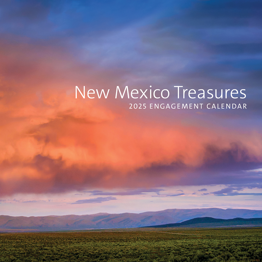 New Mexico Treasures 2025