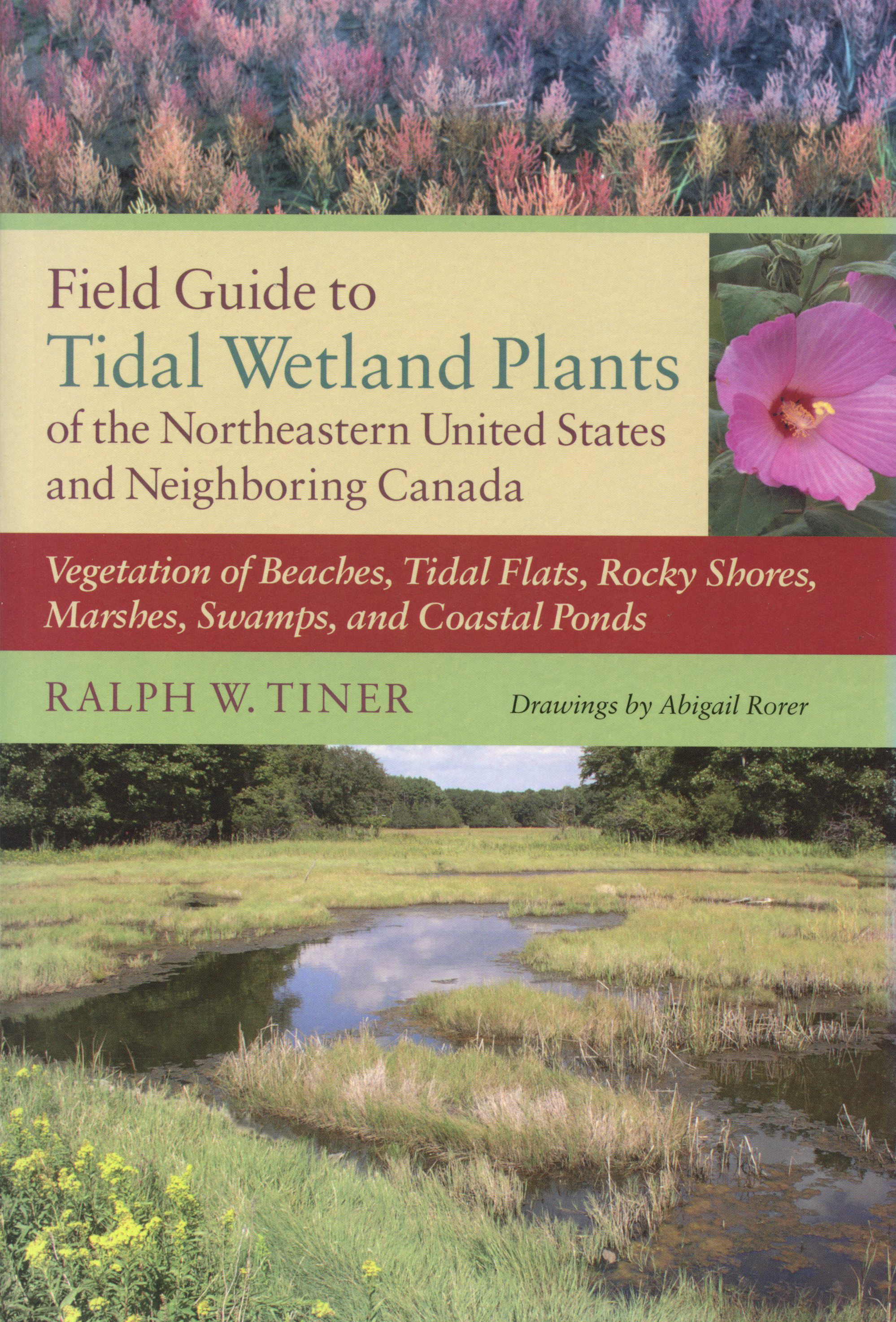 Field Guide to Tidal Wetland Plants of the Northeastern United