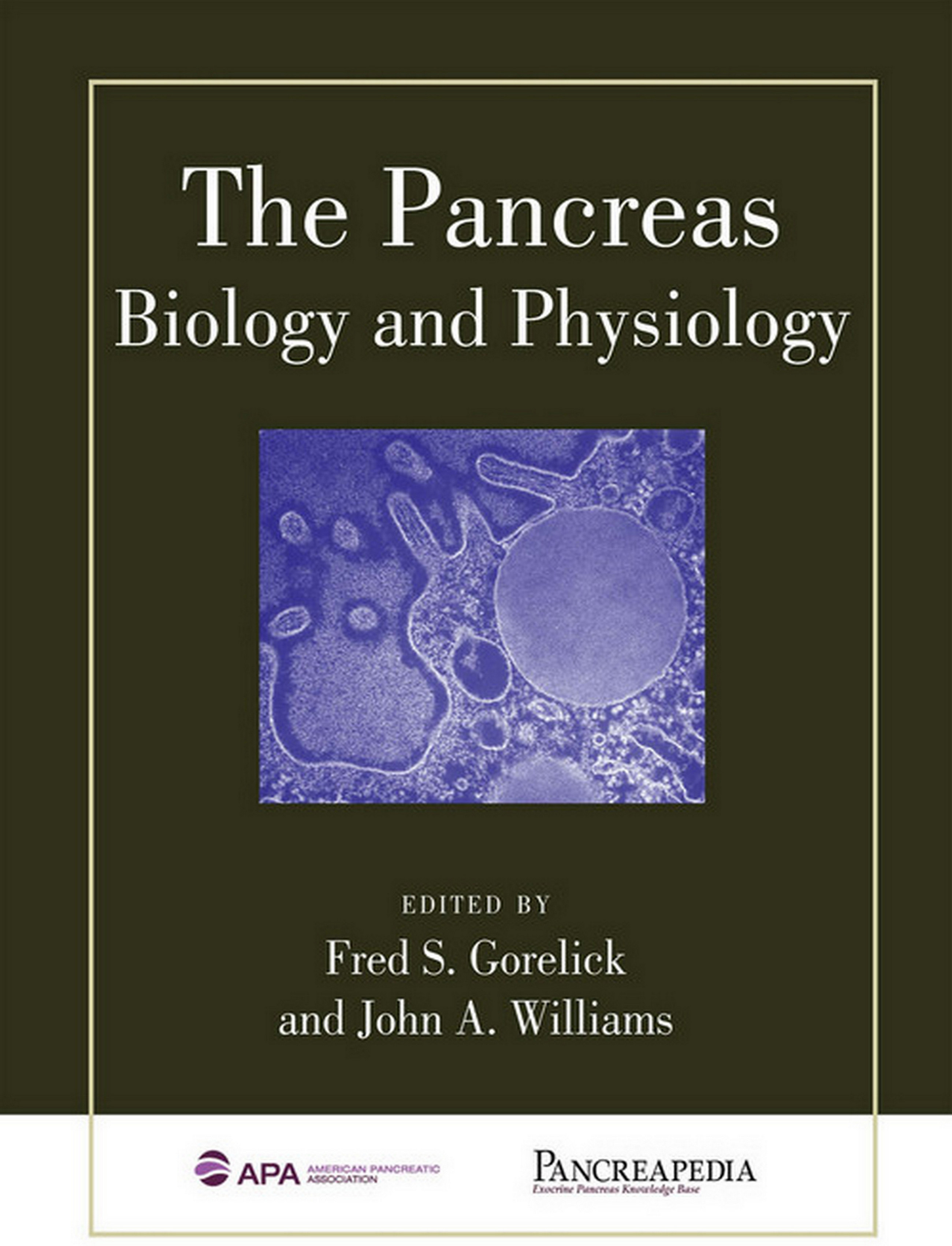 The Pancreas