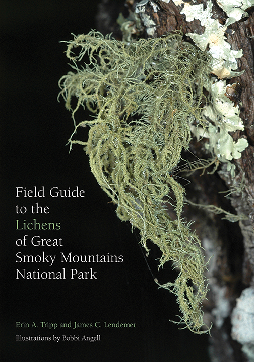 Field Guide to the Lichens of Great Smoky Mountains National